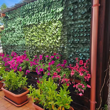 Semesterbostad La Dependance Delle Mimose *